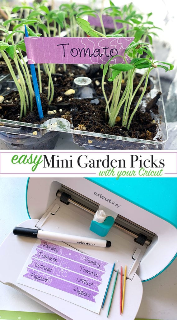 Make mini garden picks with your Cricut and label all your seed plantings - fun family activity - designed by Jen Goode