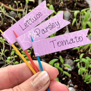 Make your own mini garden pick labels with your Cricut