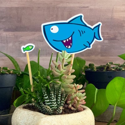 Cute shark and little fish SVG cut file