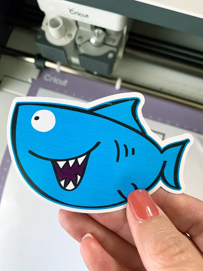 Cut shark cut file SVG designed by Jen Goode