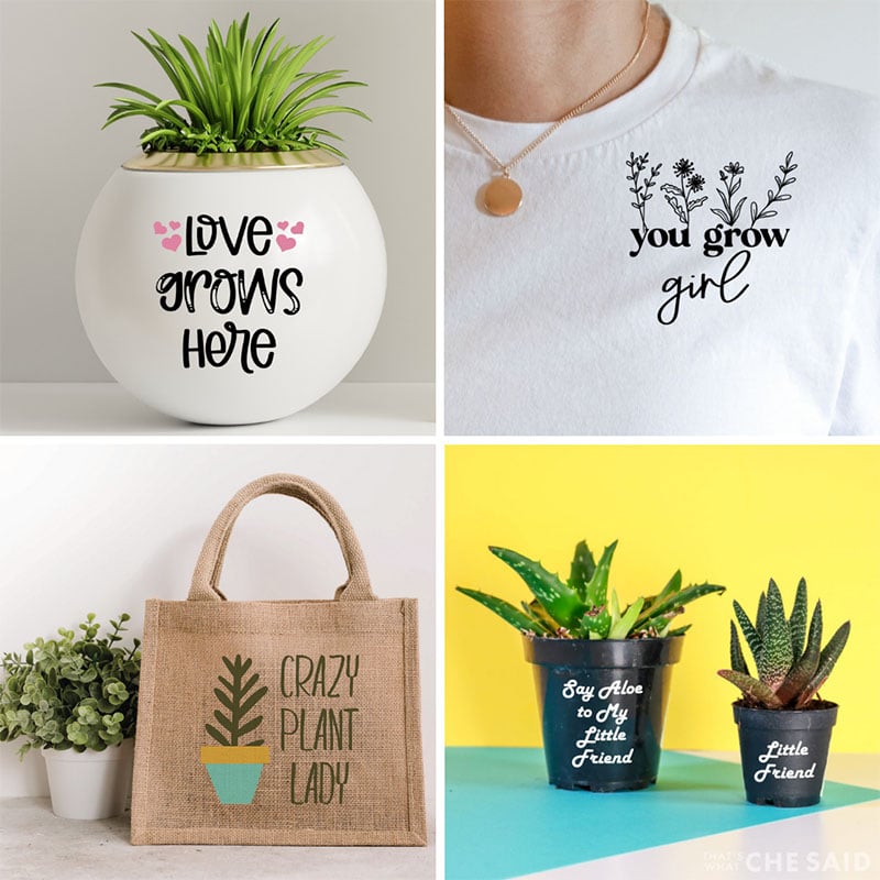 Plant project ideas with plant SVG files and your Cricut