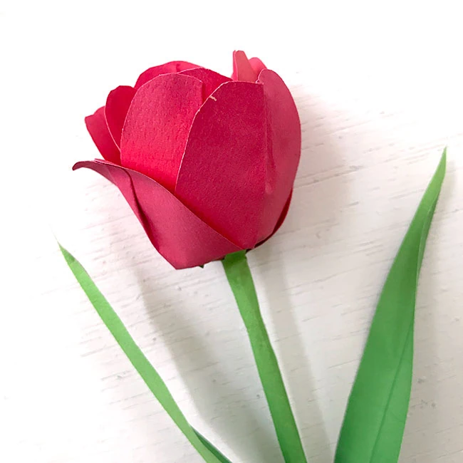 Make a paper tulip with printable components by Jen Goode